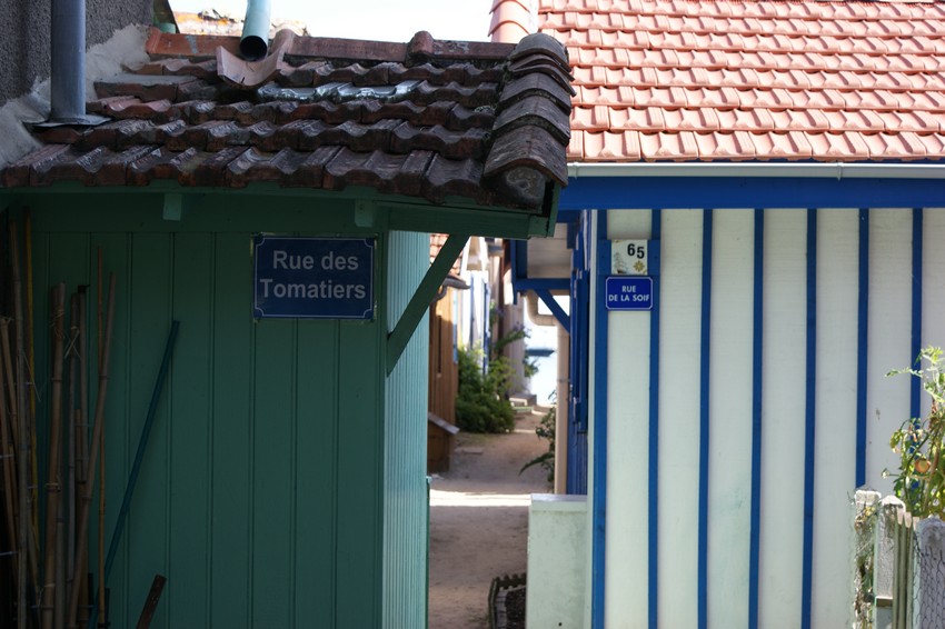 Dégustations d' huitres Dégustations d' huitres